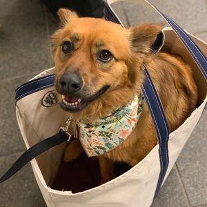 Meet your Posher, Marni